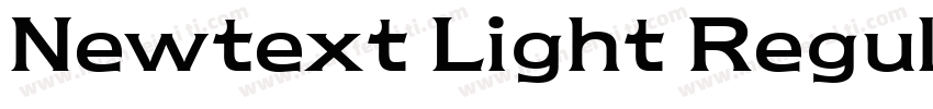 Newtext Light Regular字体转换